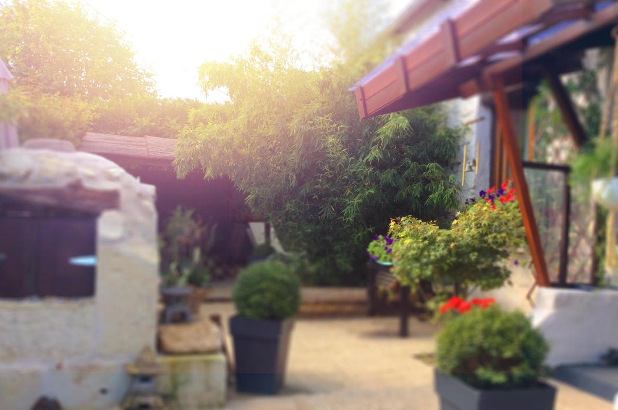 Le Grand Prateau - A 800m Du Zoo Holiday home *